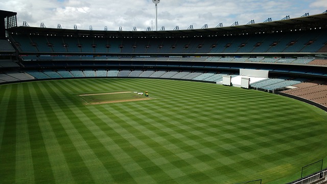 让米切尔成 让米切尔成