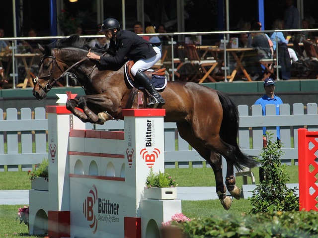 运作所需能 运作所需能