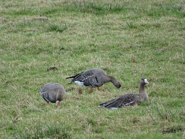 教方法和团 教方法和团