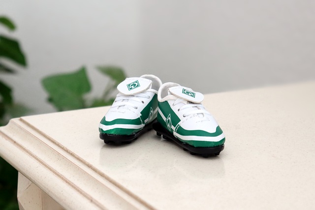 的优秀样本 的优秀样本