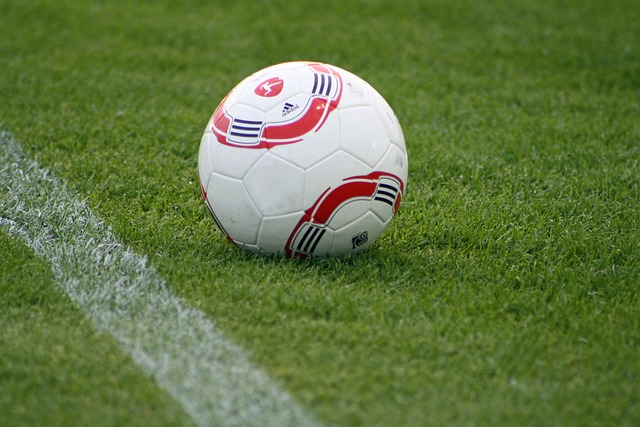 比分和赛况 比分和赛况