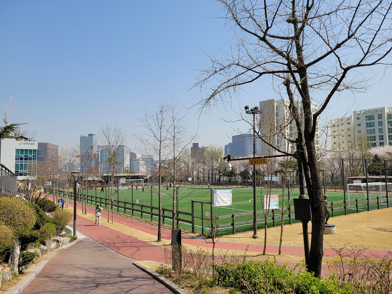 國家足球隊 國家足球隊