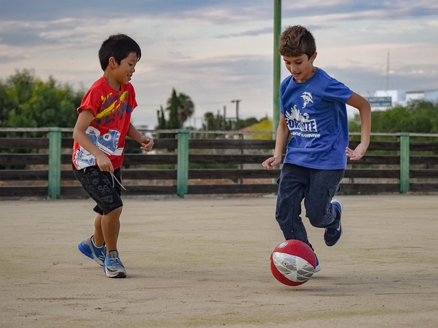 新生的过程 新生的过程