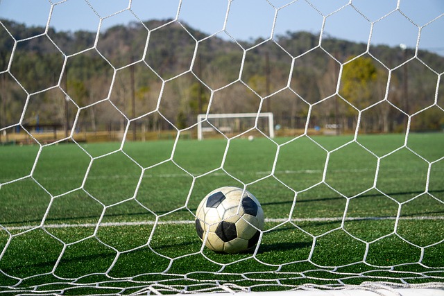 在体育领域 在体育领域