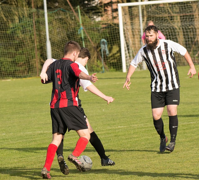 队间的彼此 队间的彼此